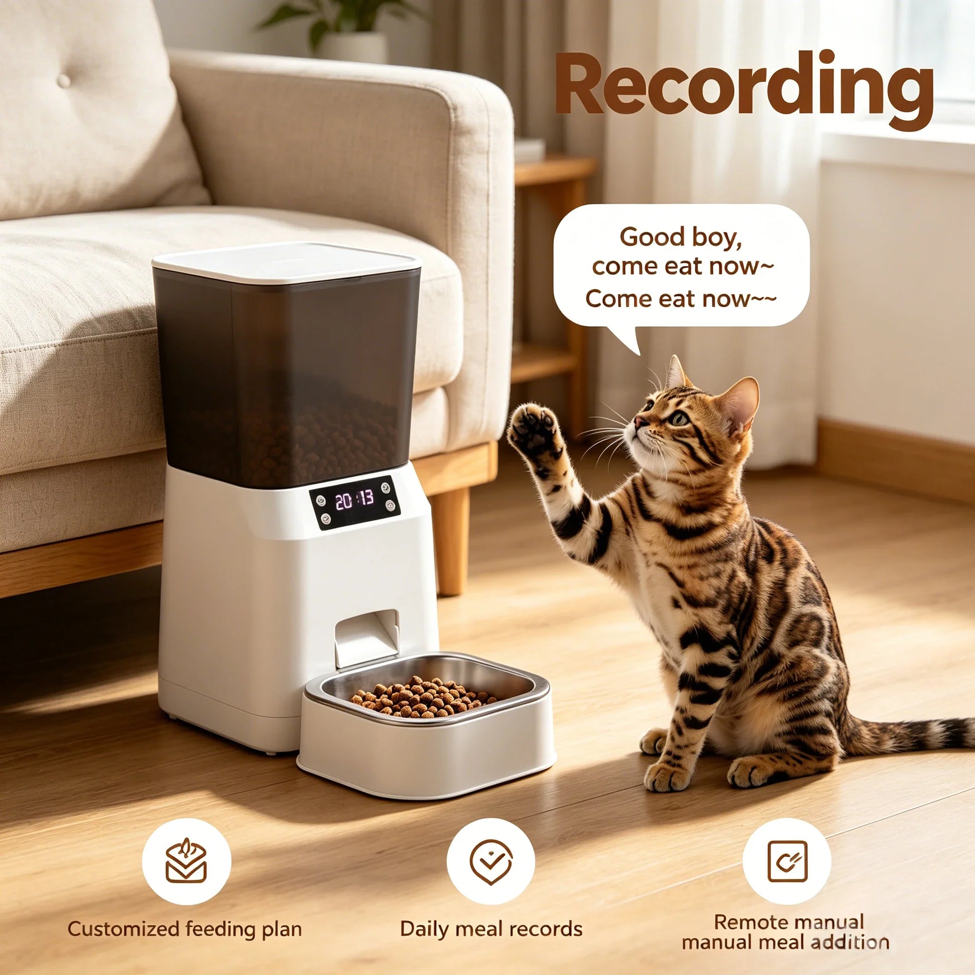 Pet Feeder,Automatic Feeder,Timed Feeder,Portion Control Feeder,Remote Control Feeder,Smart Phone Feeder